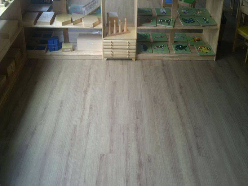 Á Đông Floor - Sàn Nhựa ECO'ST 407 .
